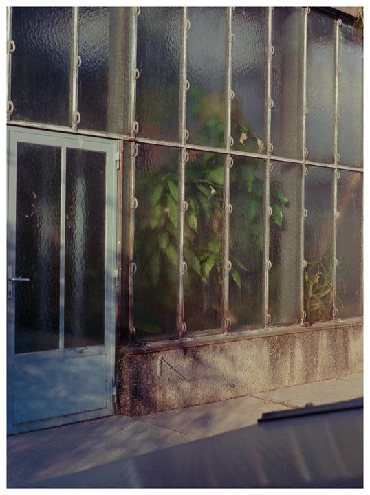 A glass greenhouse with a light blue door shows plants inside and shadows on the ground outside.