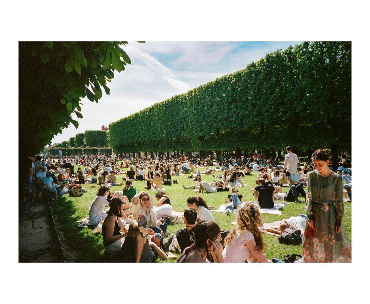 A large group of people are relaxing on a sunny lawn next to a tall hedge in Paris.