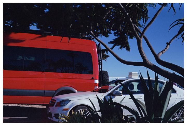 A red van and a white car are parked under a tree with a clear blue sky in the background.
