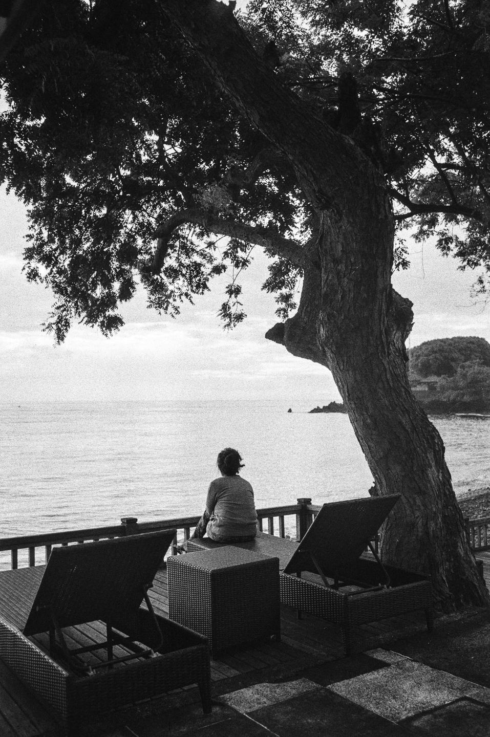 A woman sits on a patio overlooking the ocean, shaded by a large tree.