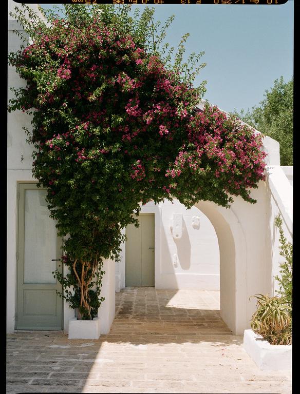 A white building with an arched entryway is covered in pink bougainvillea.