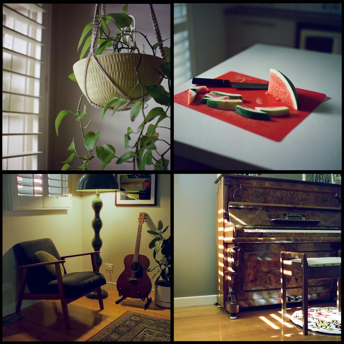 Four images show a hanging plant, cut watermelon, a guitar and armchair, and a piano with sunlight streaming through a window.