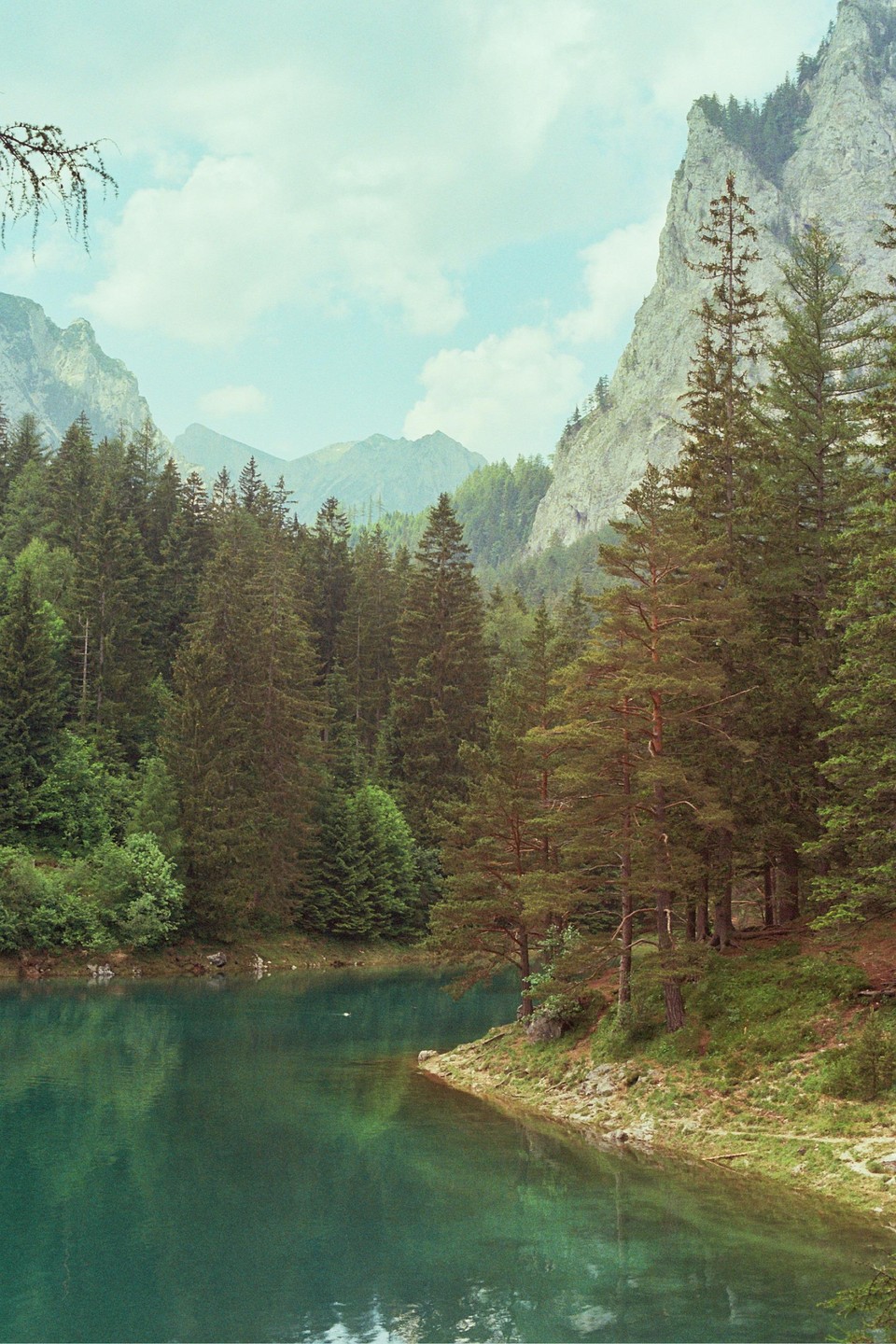 A body of turquoise water is surrounded by a dense forest and mountains under a cloudy sky.
