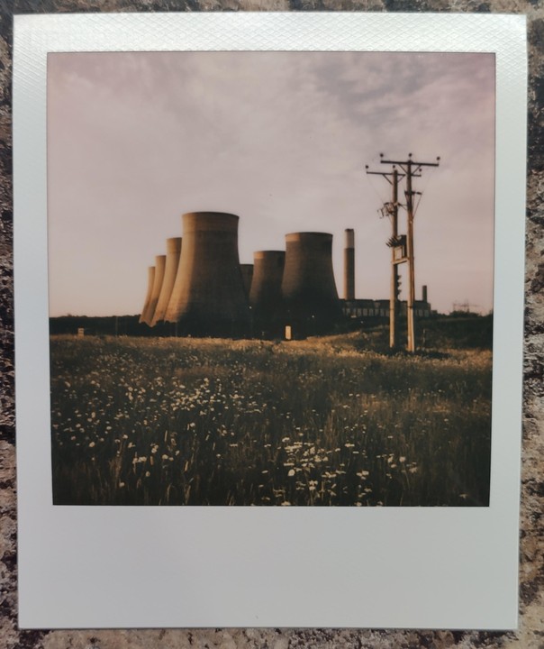A field of wildflowers sits in front of several cooling towers and a utility pole.