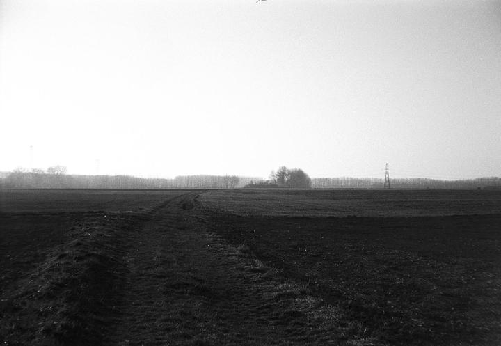 A black and white landscape shows a field with a line of trees and a transmission tower in the distance under a bright sky.