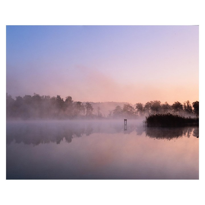 A misty lake reflects the colorful sky at dawn, with trees and reeds visible on the far bank.