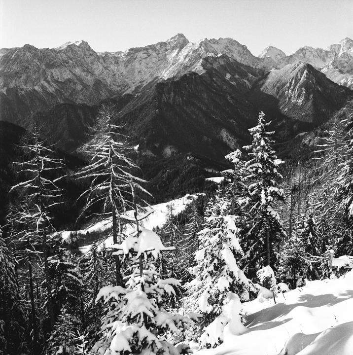 A snowy mountain landscape features snow-covered trees in the foreground and a range of peaks in the distance.