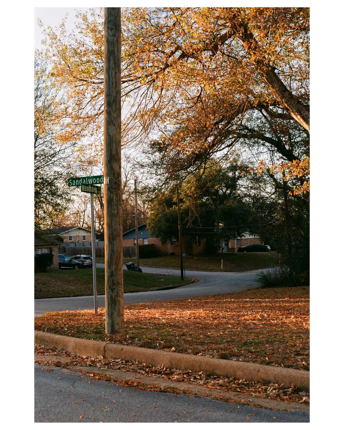 A street sign for Sandalwood and Woodhaven is attached to a utility pole at a residential intersection with autumn foliage.