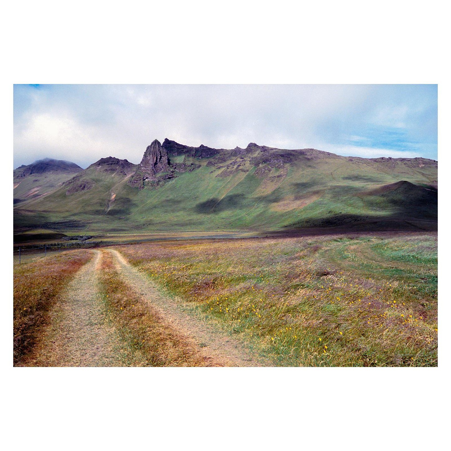 A dirt road leads through a field of tall grass and wildflowers towards a range of green mountains under a cloudy sky.