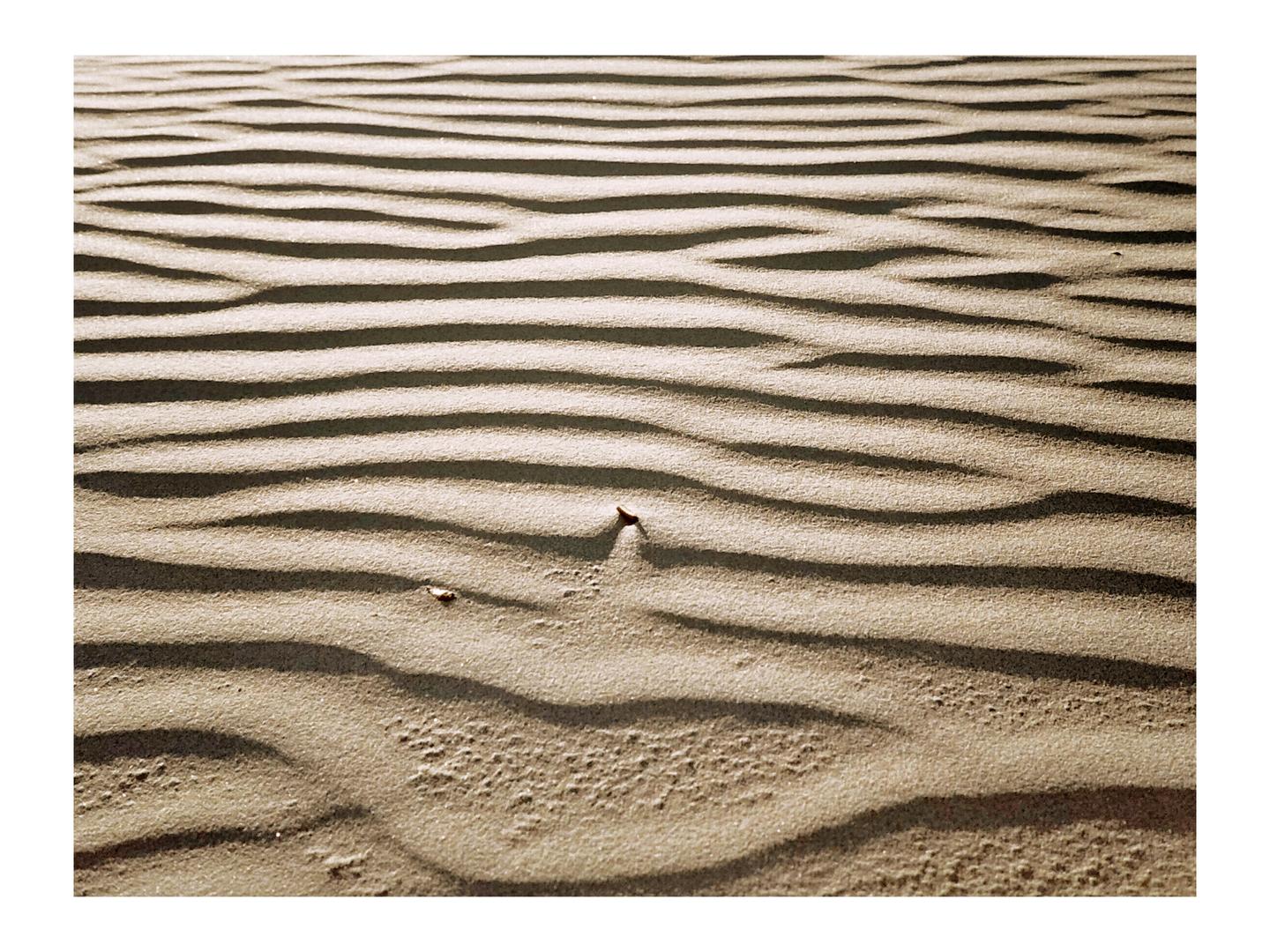 The image shows sand dunes with ripples and shadows.