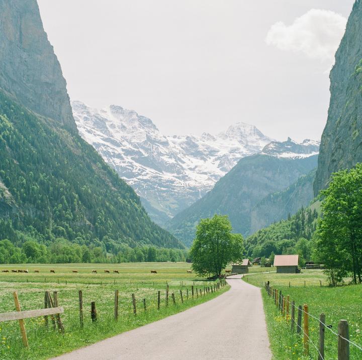 A road leads through a green valley with cows grazing in pastures, surrounded by mountains with snow-capped peaks.