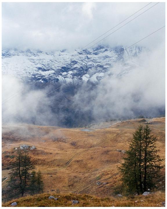 A snow-capped mountain range is partially obscured by clouds above a golden-brown hillside with scattered trees and power lines.
