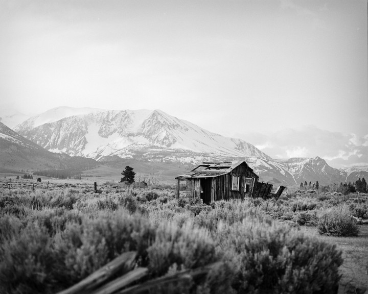 An abandoned wooden shack sits in a field of brush with snow-capped mountains in the background.