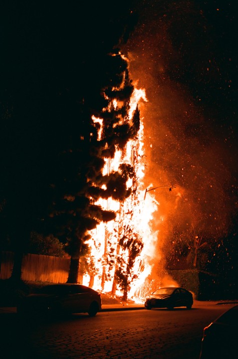 A large tree is engulfed in flames next to a street with two cars parked on it at night.