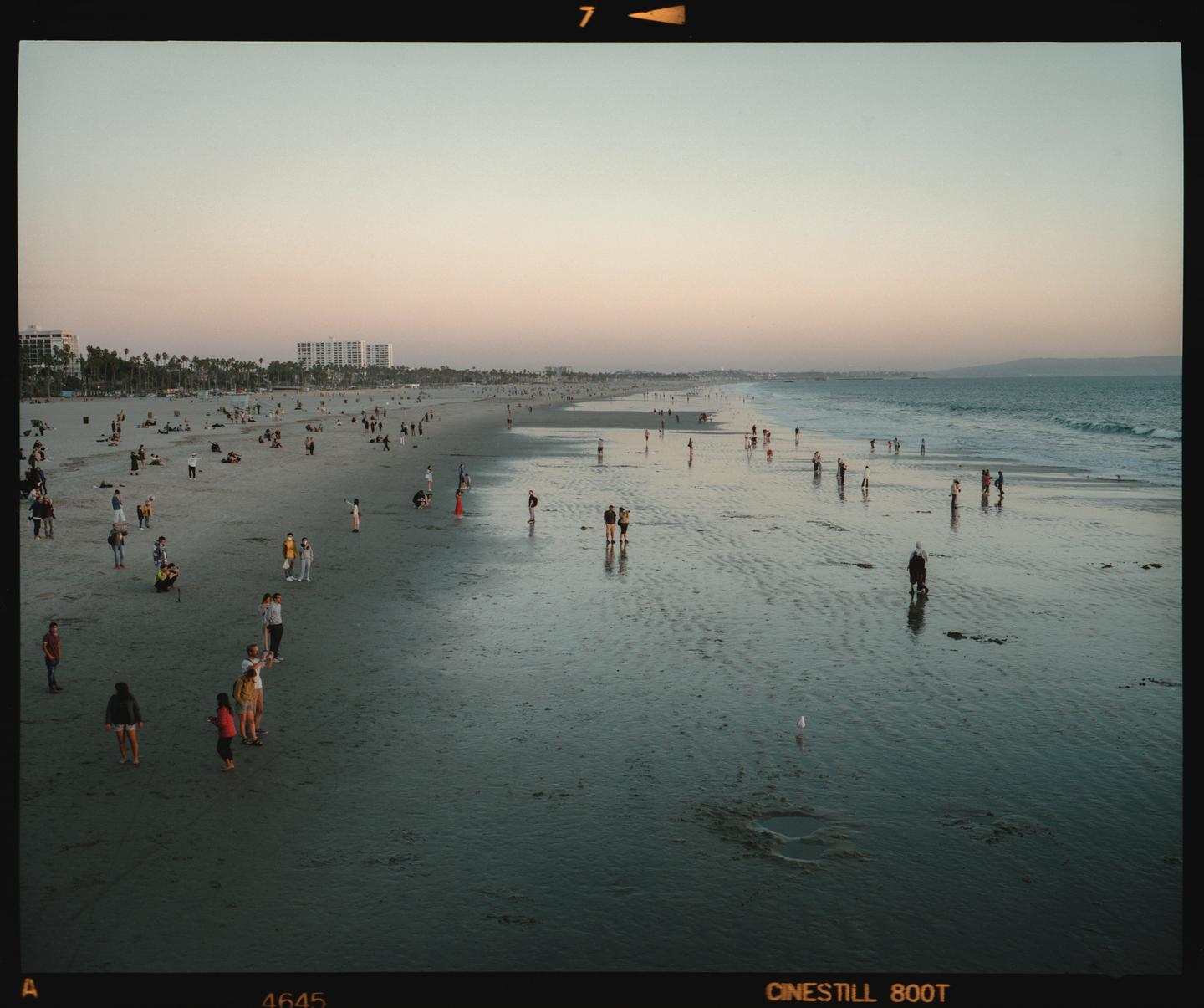 A wide shot shows a beach with many people walking along the shore and in the water at dusk.