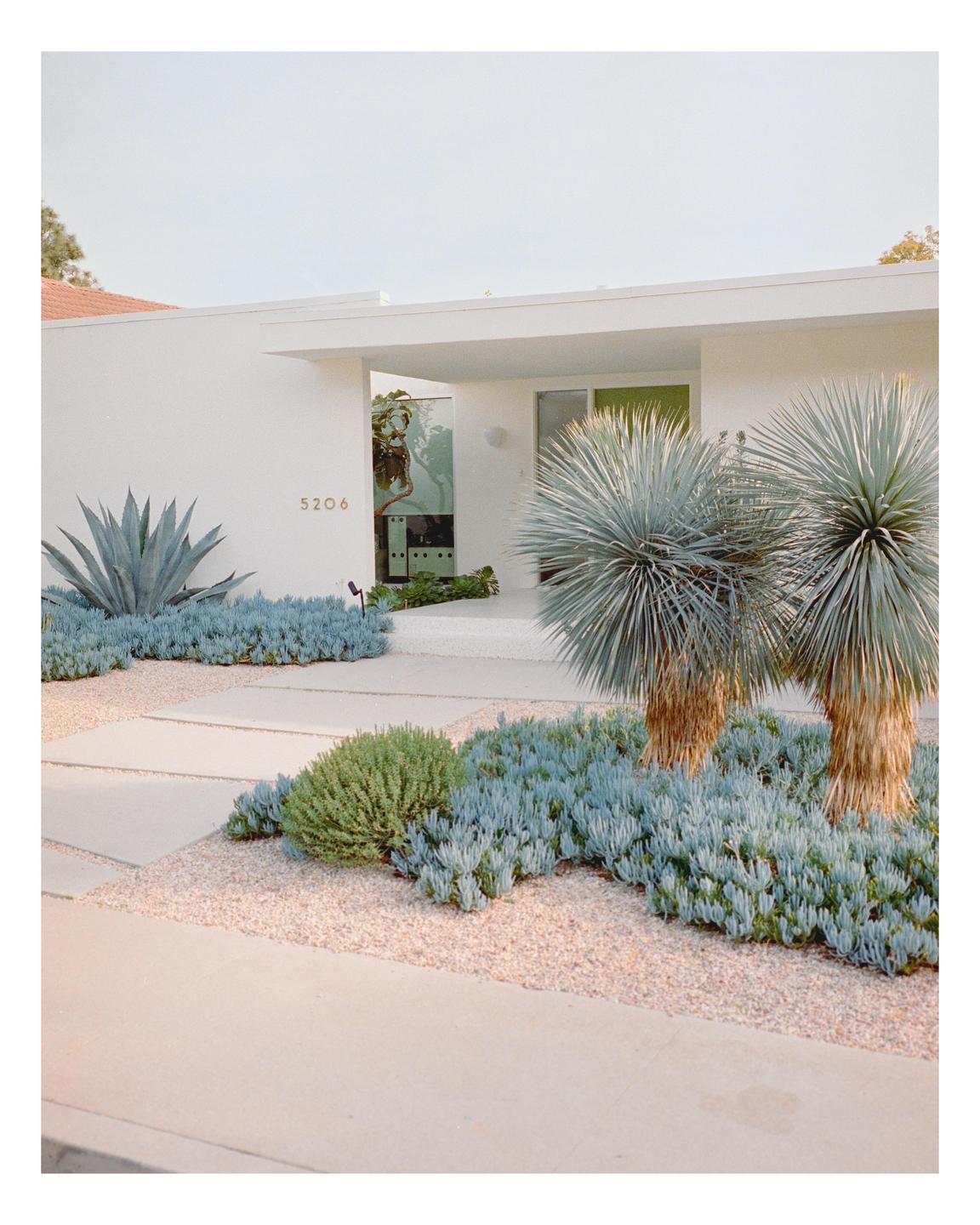 A modern white house with succulents and gravel landscaping is seen from the street.