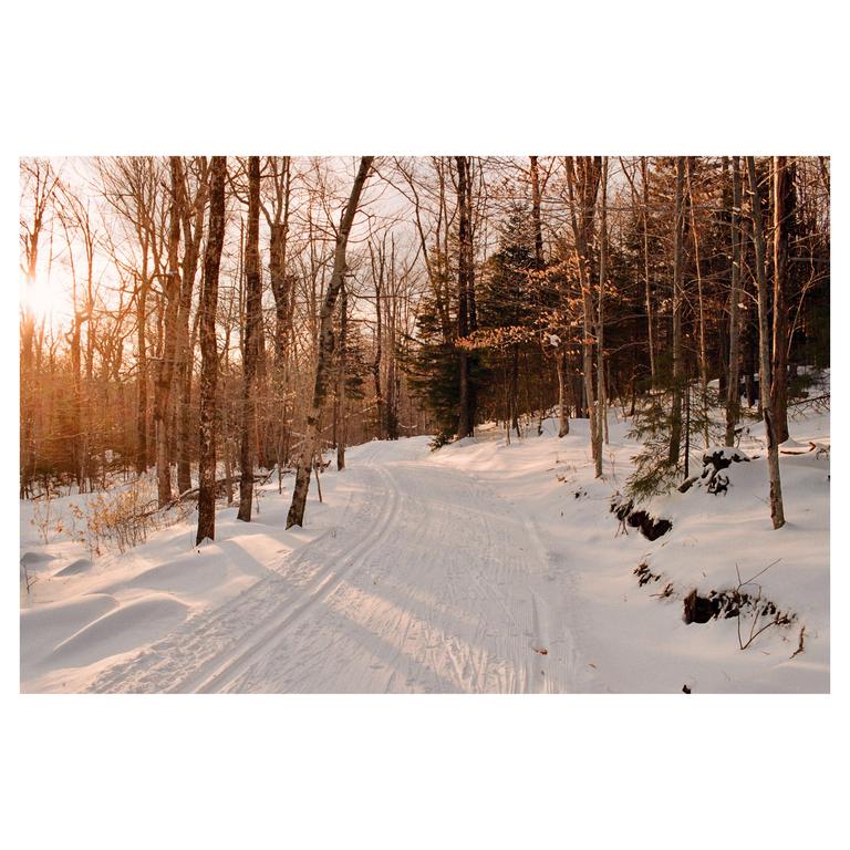 A snow-covered path winds through a forest with the sun shining through the trees.