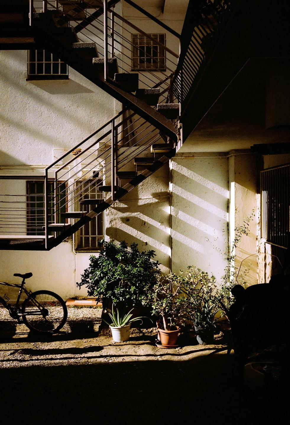 A bicycle is parked next to potted plants and a building with an exterior staircase, with strong shadows cast across the wall.
