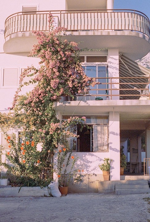 A white building with balconies is covered in pink and orange flowering vines.