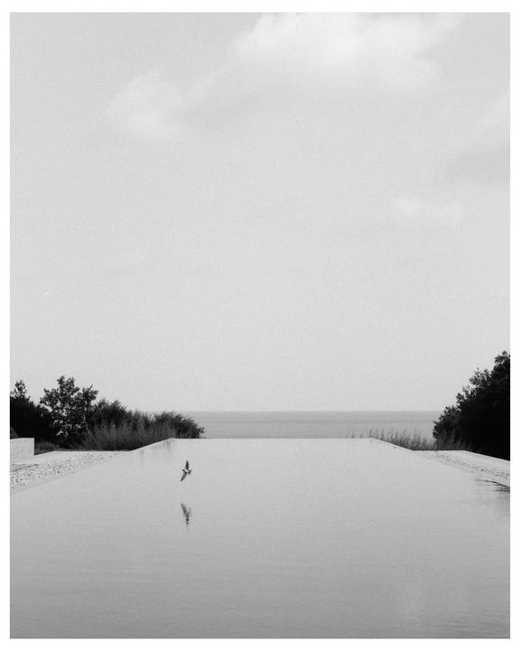 A bird flies over an infinity pool with the ocean in the distance.