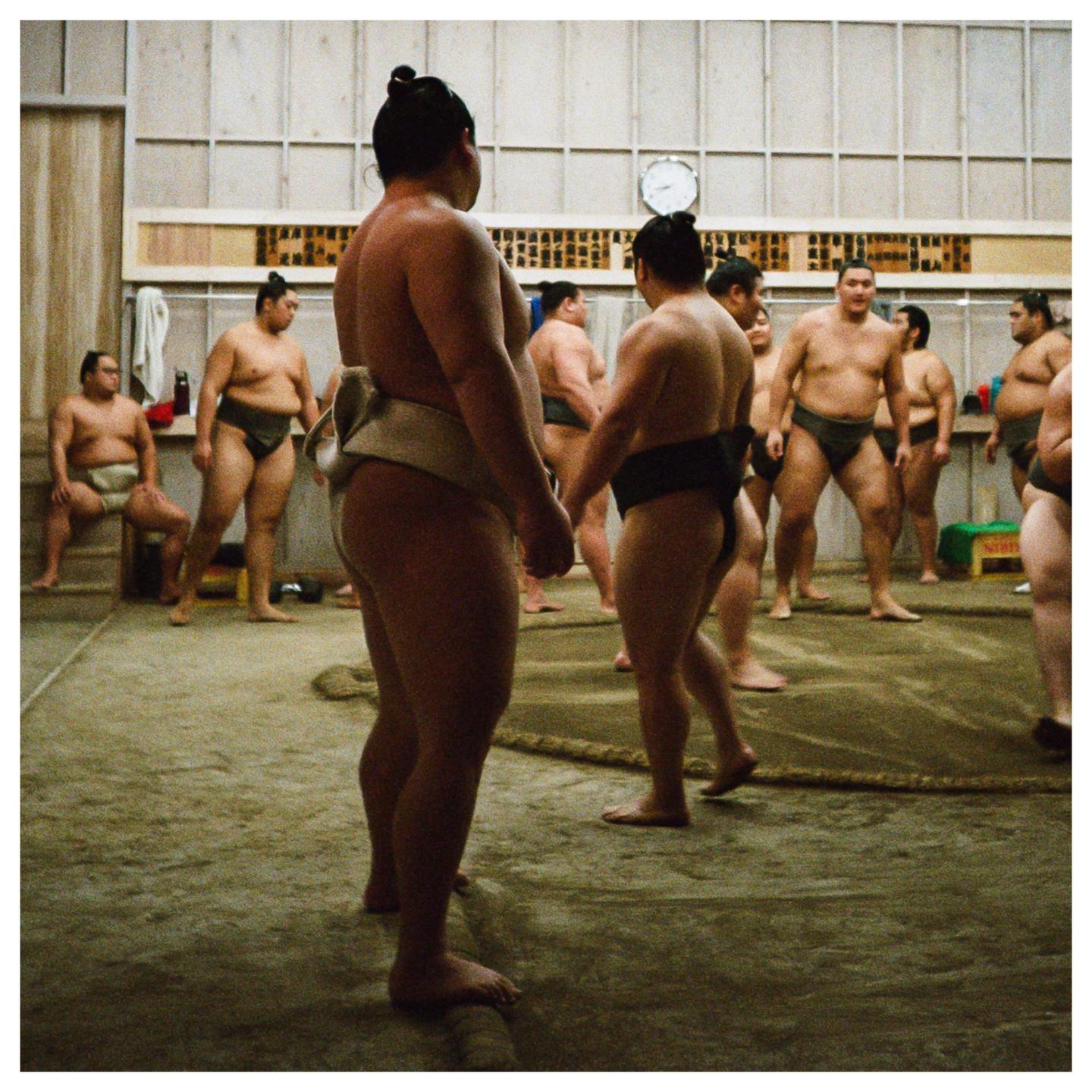 A group of sumo wrestlers are gathered in a practice room.