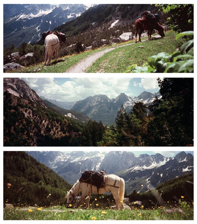 Two pack horses graze on a grassy mountain path with snow-capped peaks in the background.