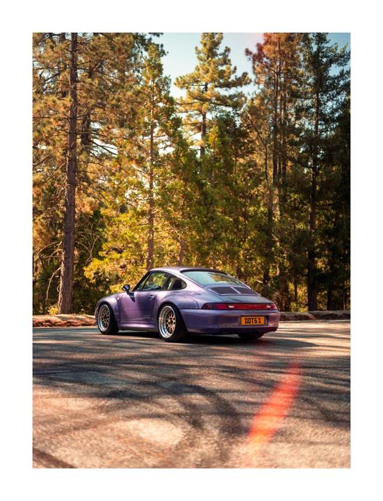 A purple sports car is parked on an asphalt road surrounded by tall pine trees.