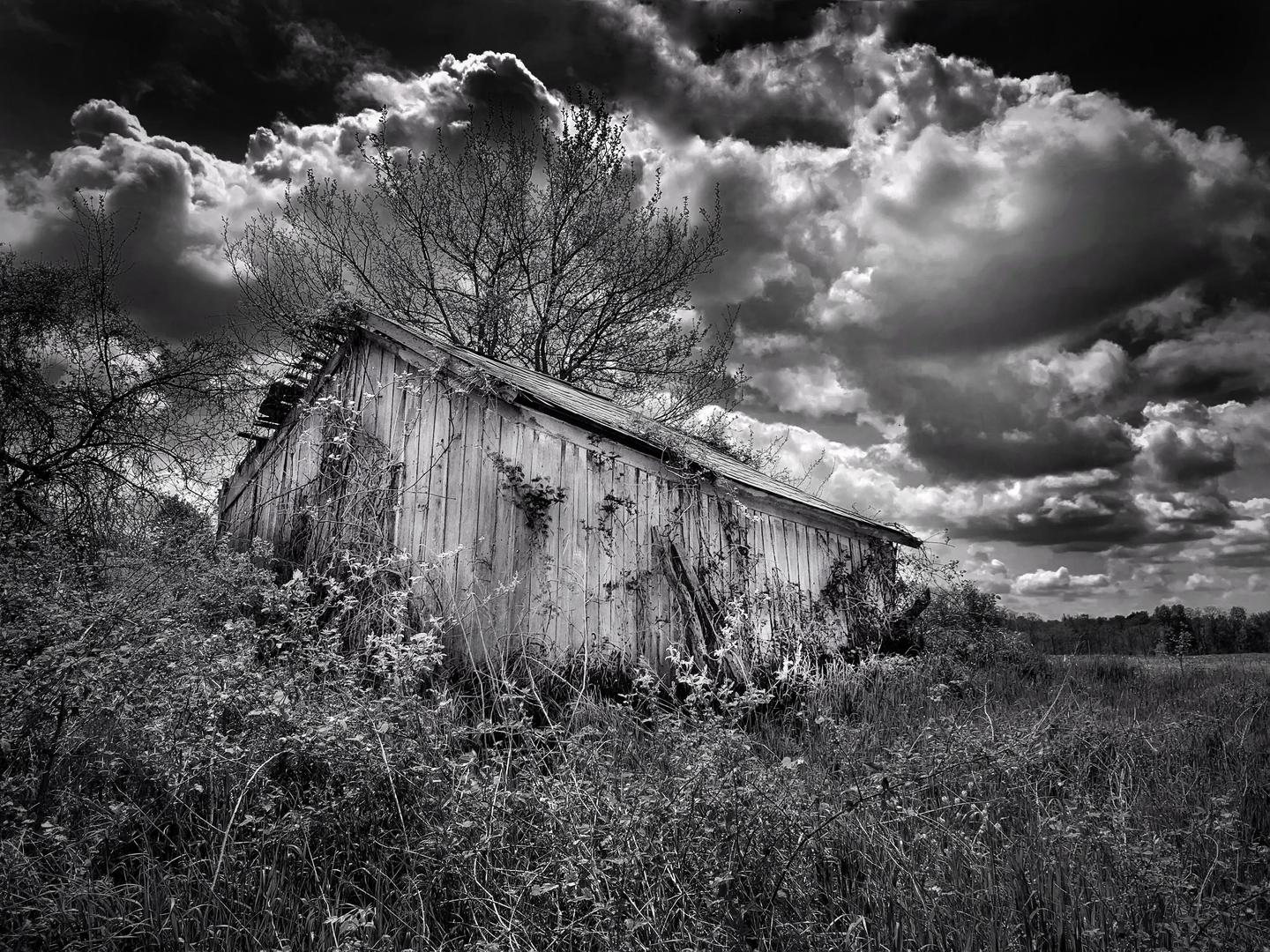 An old wooden chicken coop stands in a field under a dramatic cloudy sky.