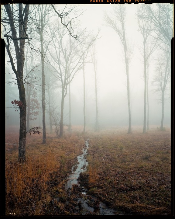 A narrow stream winds through a clearing with tall, bare trees shrouded in fog.