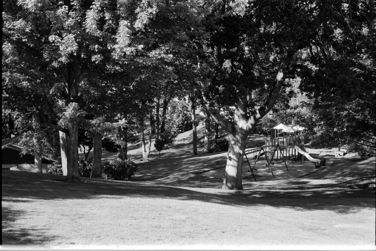 A playground with swings and a slide is visible through trees in a park.