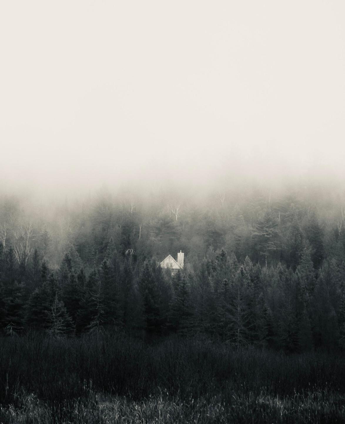 A small house with a chimney is nestled among a dense forest of trees, partially obscured by fog.