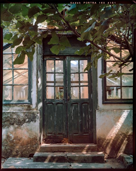 A weathered wooden door with glass panes is surrounded by windows and overgrown foliage, with sunlight casting shadows on the steps.