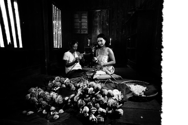 Two women sit on the floor of a dark room, surrounded by lotus flowers and leaves, with light streaming in from a window.