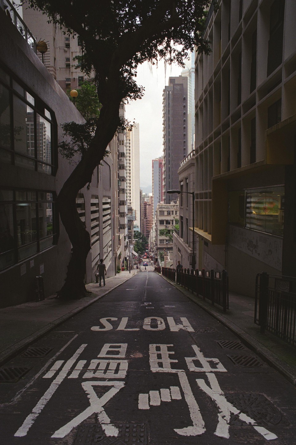 A steep street with tall buildings and a large tree on the left has "SLOW" and Chinese characters painted on the asphalt.