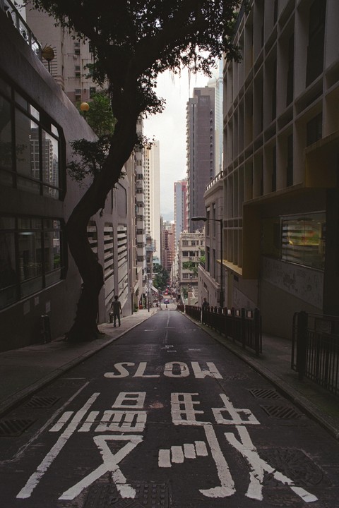 A steep street with tall buildings and a large tree on the left has "SLOW" and Chinese characters painted on the asphalt.