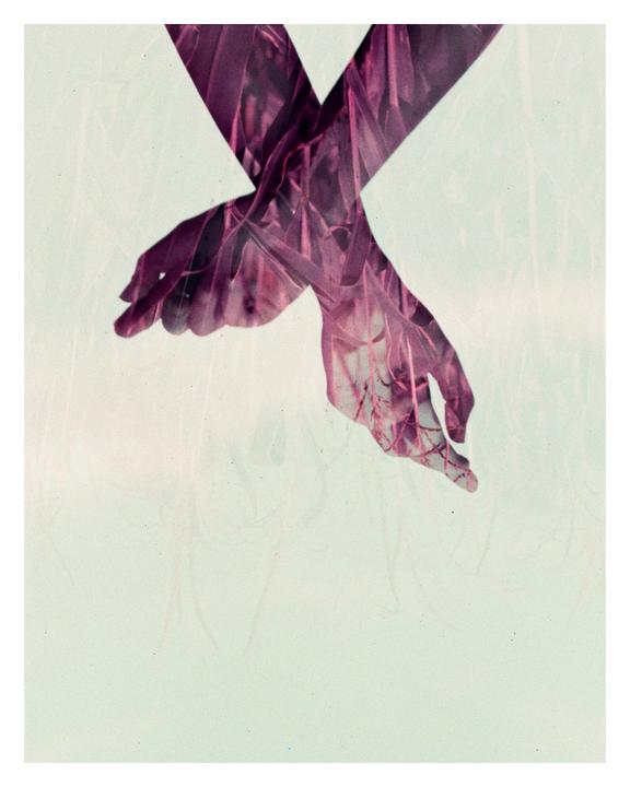 Two hands are crossed over each other, filled with a purple plant texture, against a light background.