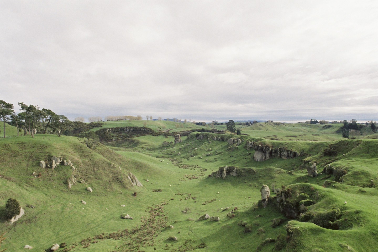 A vast landscape of rolling green hills with scattered trees and rock formations under a cloudy sky.