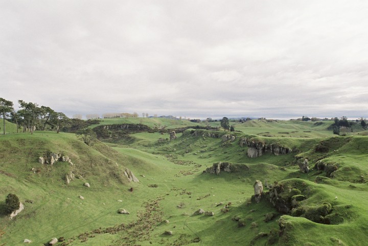 A vast landscape of rolling green hills with scattered trees and rock formations under a cloudy sky.