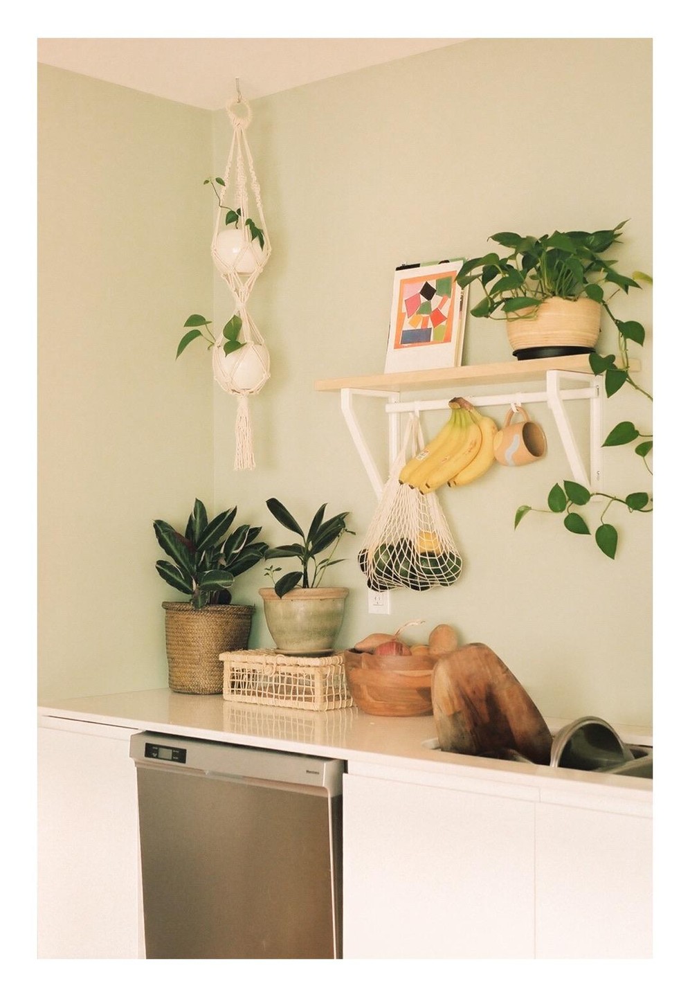 A kitchen counter is adorned with various potted plants, a fruit bowl, and a hanging macrame planter.