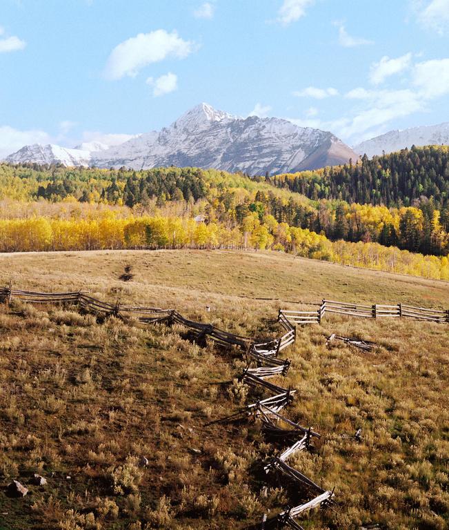 A wooden fence zigzags across a grassy hill with a forest of yellow and green trees and a snow-capped mountain in the background under a blue sky.