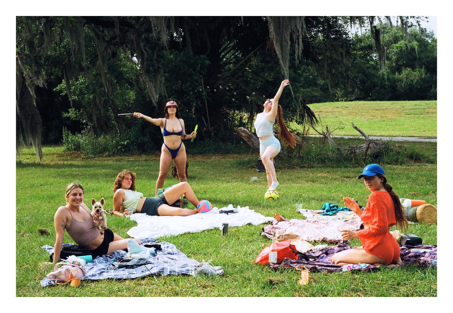 Four women and a dog are having a picnic on a grassy field with trees in the background.