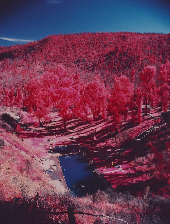 A body of water with people swimming and sunbathing is surrounded by trees with bright pink foliage.