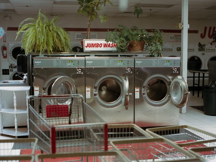 Three washing machines with open doors are visible in a laundromat with plants on top of them.