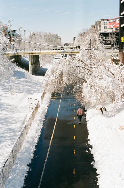 A person walks along a path cleared of snow, with snow-covered trees and a bridge overhead.