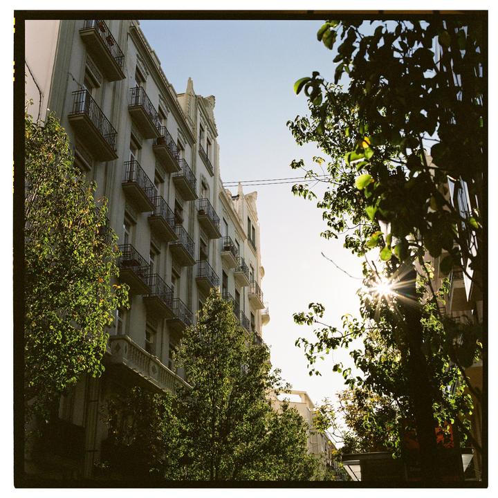 The sun shines through the leaves of a tree next to a tall building with many balconies.