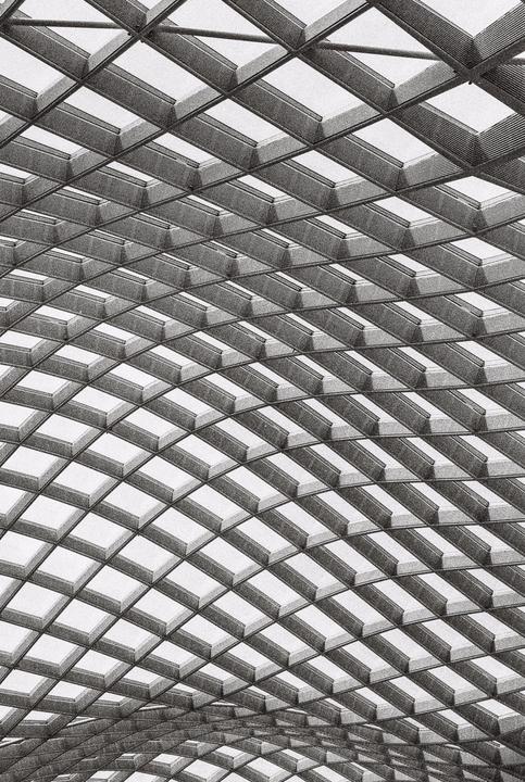 A grid of rectangular skylights forms a curved ceiling.