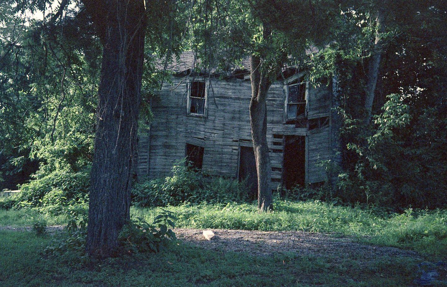 An abandoned wooden house is partially obscured by trees and overgrown vegetation.