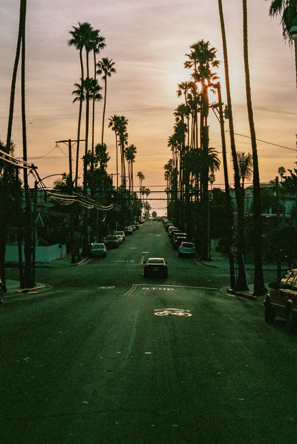 A street lined with palm trees leads to the ocean at sunset.