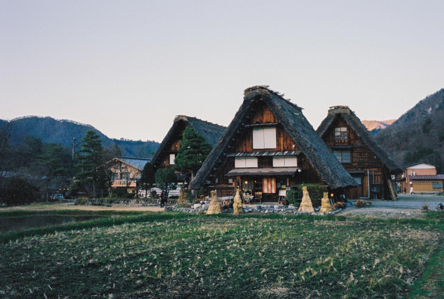 Three traditional Japanese houses with steep thatched roofs stand in a rural landscape with mountains in the background.
