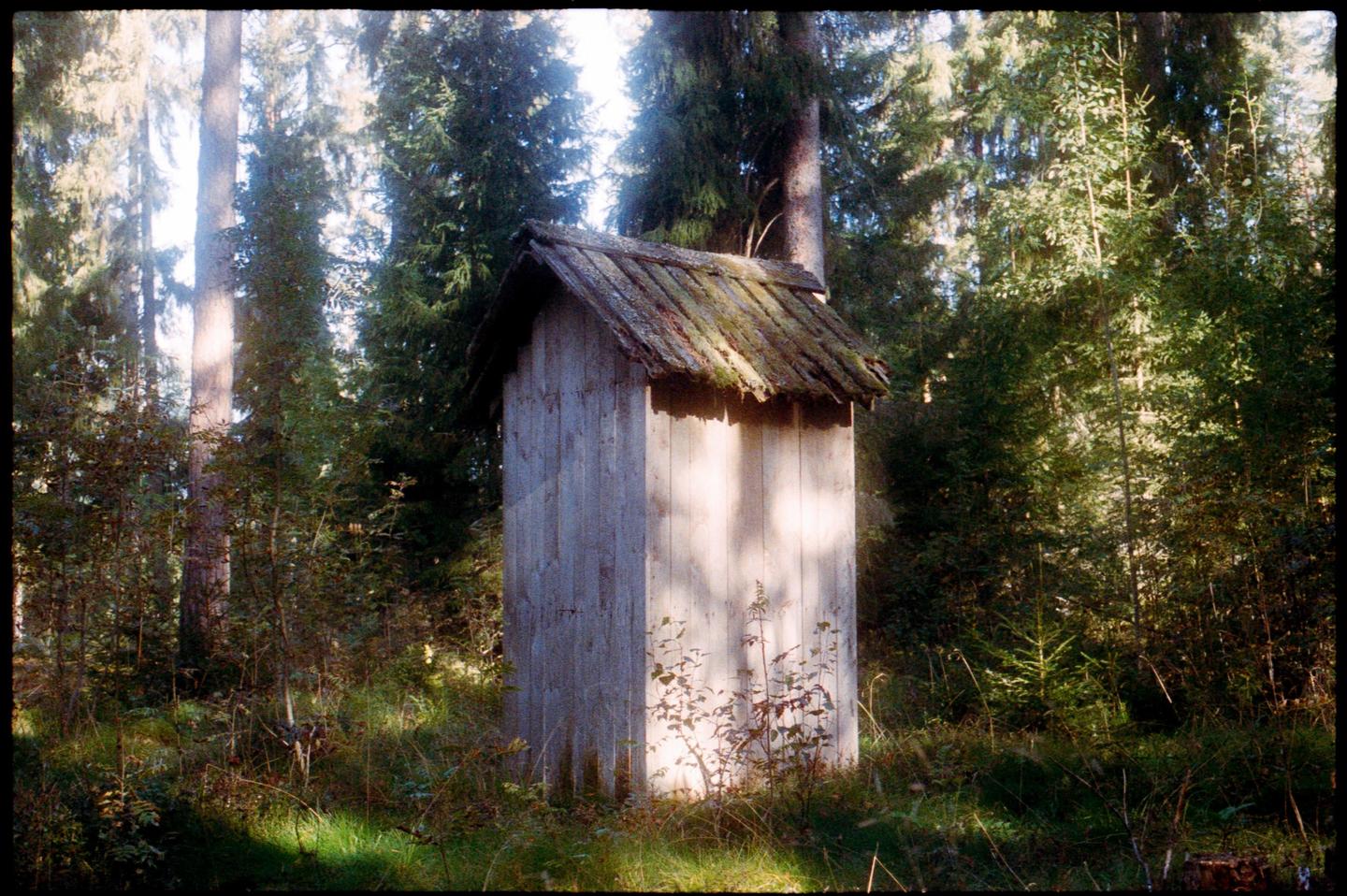 An outhouse with a mossy roof stands in a sunlit forest.